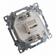 Розетка компьютерная 1-местная RJ-45 (механизм), STEKKER Катрин GLS00-7107-02, шампань