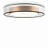 Потолочный светильник Freya Zoticus FR6005CL-L48G