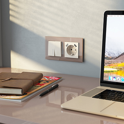 Розетка с заземлением и USB Werkel айвори матовые a062426