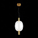 Подвесной светодиодный светильник ST Luce Allenore SL1582.313.01