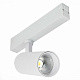 Трековый светильник ST-Luce Skyline 220 ST660.536.20