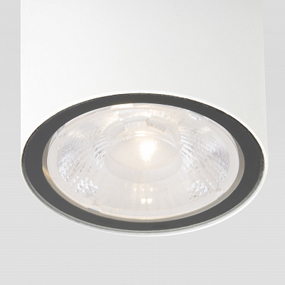 Уличный потолочный светильник Elektrostandard Light 35131/H белый LED a056230
