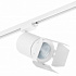 Трековый светодиодный светильник Lightstar Canno Led (303264+202996) C326496