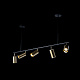 Подвесная люстра Loft IT Tribes 8120P-5