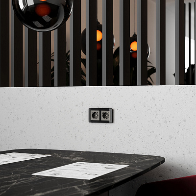 Розетка с заземлением и USB Werkel графит акриловый a064093