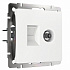 Розетка Werke ТВ+ RJ-45 6 cat белый W1181301 a056109