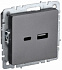 Розетка USB IEK Brite A+C 18Вт РЮ11-1-БрС сталь BR-U22-018-K46