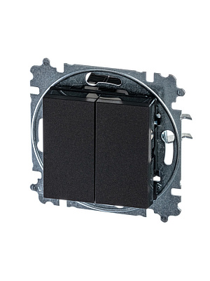 Переключать двухклавишный ABB Levit антрацит/дымчатый черный 2CHH595245A6063