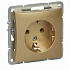 Розетка с заземлением шампань SE Duet WDE000443