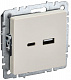Розетка USB IEK Brite A+C 18Вт РЮ11-1-БрКр бежевый BR-U22-018-K10