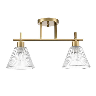 Потолочная люстра Lumion Vivian 8188/2C