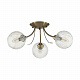 Потолочная люстра Lumion Tula 5266/3C