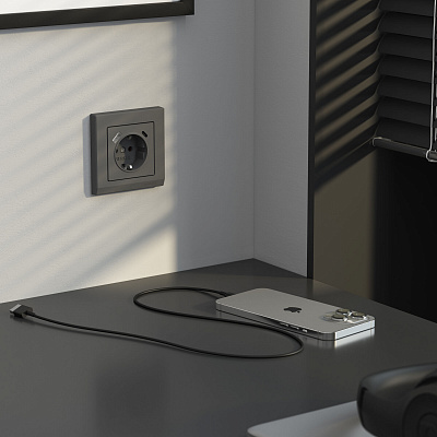 Розетка с заземлением и USB Werkel графит матовый a063106
