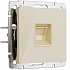 Розетка RJ-45 Werkel айвори акриловый a064064