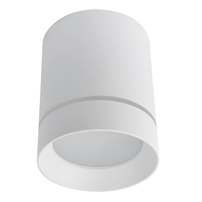 Потолочный светильник Arte Lamp Elle A1949PL-1WH
