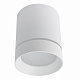 Потолочный светильник Arte Lamp Elle A1949PL-1WH