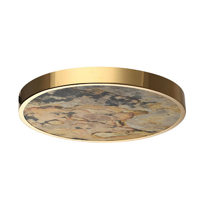 Настенно-потолочный светильник Odeon Light Bergi 5079/40L