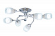 Потолочная люстра Sfera Sveta 59261R/6 CHROME