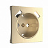 Накладка для розетки USB Werkel W1179510 шампань рифленый a051422