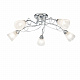 Потолочная люстра Freya Stasya FR5684CL-05CH