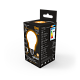Лампа Gauss Filament А60 10W 820lm 2700К Е27 LED 102202110 (20 шт)