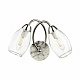 Бра Lumion Romeo 4561/2W