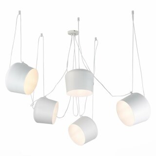 Подвесной светильник Evoluce Trieste SLE120653-05