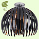 Потолочный светильник Lussole Lgo GRLSP-9536