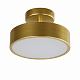 Потолочный светильник F-Promo Atma 3059-2P