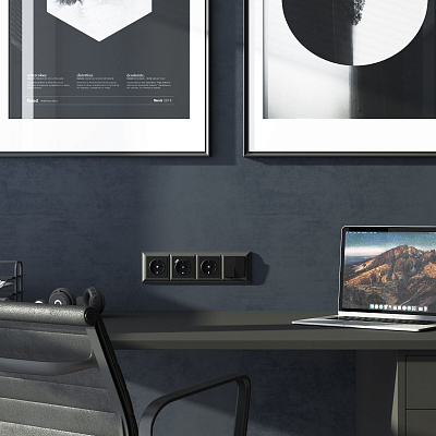 Розетка с заземлением и USB Werkel черный a056275