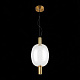 Подвесной светодиодный светильник ST Luce Allenore SL1582.313.01
