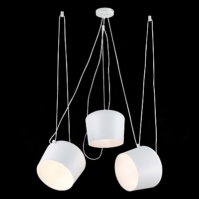 Подвесной светильник Evoluce Trieste SLE120653-03