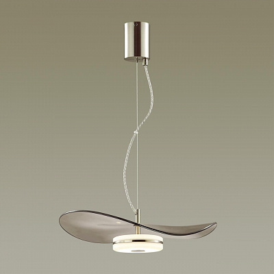 Подвесной светодиодный светильник Odeon Light Fluent 4858/13L