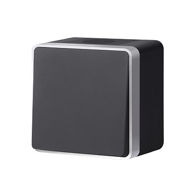 Выключатель одноклавишный IP44 черный с серебром Werkel Gallant W5010234 a051164
