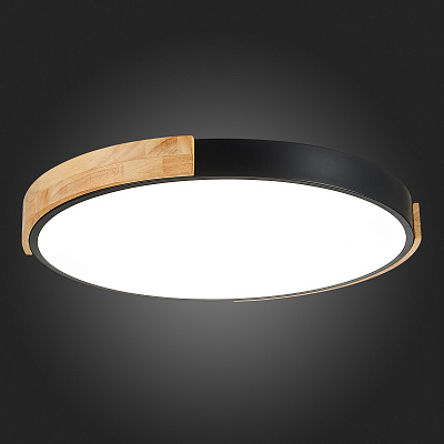 Потолочный светодиодный светильник Evoluce Delia SLE201342-01