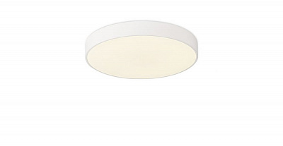 Потолочный светильник Simple Story 1204-LED12CL