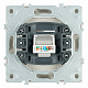 Розетка компьютерная 1-местная RJ-45 (механизм), STEKKER Эмили, RST00-5117-08, кашемир, soft touch