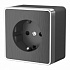 Розетка с заземлением и шторками Werkel Gallant W5071104 графит a051346