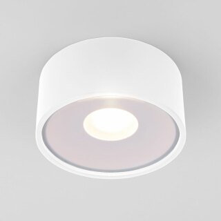 Уличный потолочный светильник Elektrostandard Light LED 2135 IP65 a057471