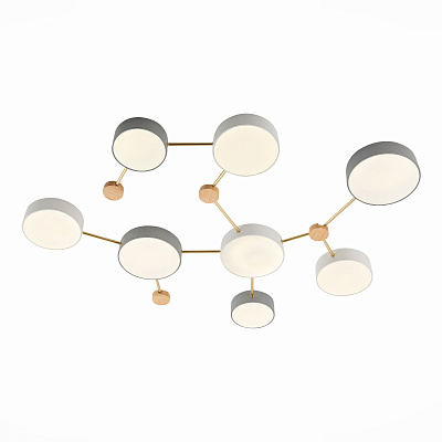 Потолочный светодиодный светильник Evoluce Dossena SLE600102-08