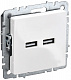 Розетка USB IEK Brite A+A 3,1А РЮ10-1-БрБ белый BR-U21-D31-K01