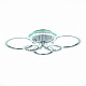 Люстра потолочная EVOLED Cerina SLE500512-06RGB