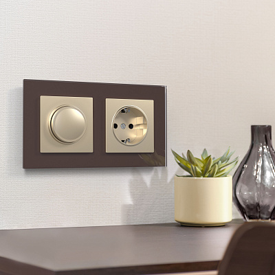 Рамка на 2 поста Werkel Favorit W0021118 мокко a051098