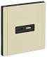 Розетка USB A+C 3,1А IEK FORTE&PIANO FP850M FP-U22-D31-M-K41 металл серый сланец