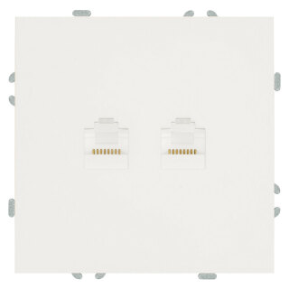 Розетка компьютерная 2-местная RJ-45 (механизм), STEKKER Эмили, RST00-5111-01, белый фарфор, soft touch