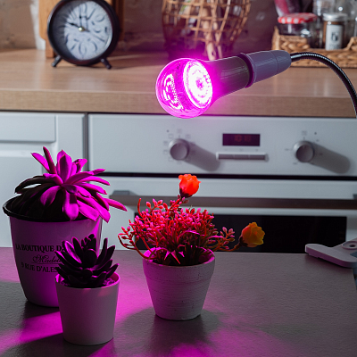 Лампа светодиодная для растений Uniel cпектр для рассады и цветения LED-A60-15W/SPSB/E27/CL PLP30GR