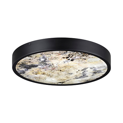 Настенно-потолочный светильник Odeon Light Bergi 5064/30L