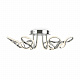 Потолочная люстра Freya Timeless FR6045CL-L96CH