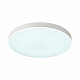 Потолочный светильник Sonex Gamma 7759/50L
