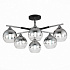 Потолочная люстра Evoluce Gocia SLE106502-06